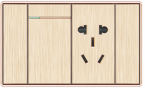 T12-005 一位开关带五孔插座