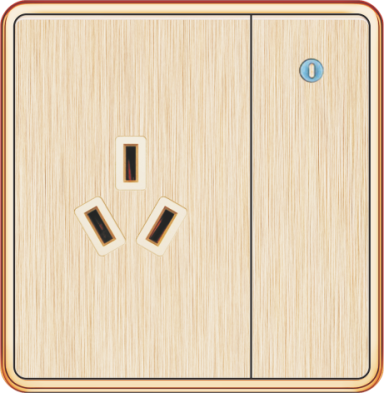 T5-009 一开带16A三极插座