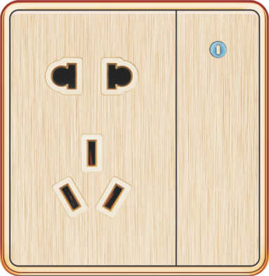 T5-010 一开带二三极插座