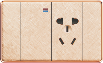 T15-005 一位开关带五孔插座