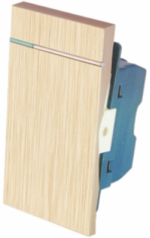 T12-013 一位中板开关