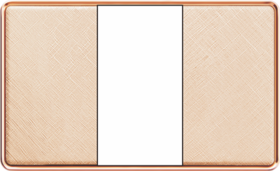 T15-009 一位面板