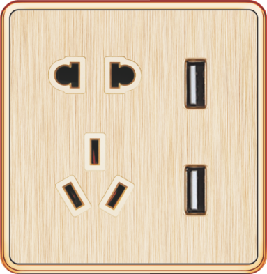 T5-019 五孔带两位USB插座