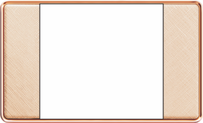 T15-010 二位面板