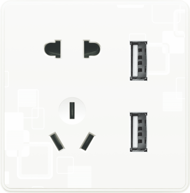 T4-019 五孔带两位USB插座