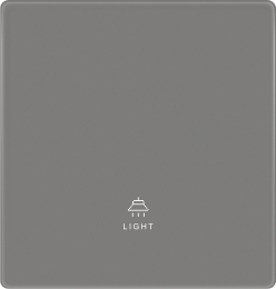 L9-001 一位单控开关