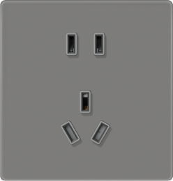 L9-013 二三极插座