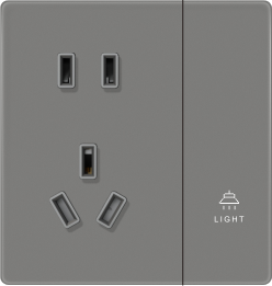 L9-018 一开二三极插座