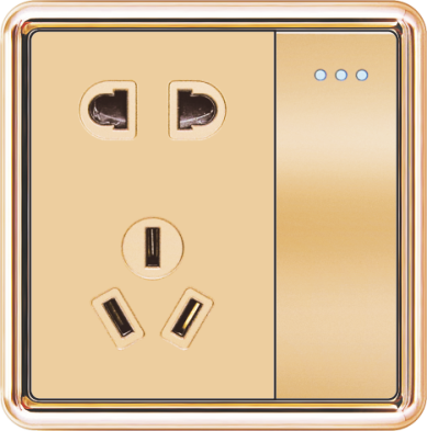 T19-010 一开带二三极插座