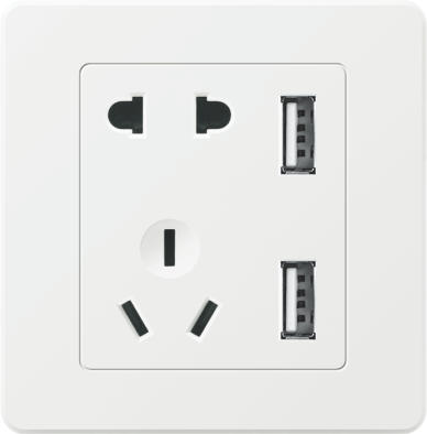 T9-019 五孔带两位USB插座