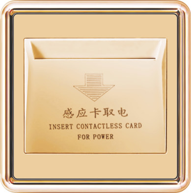 T19-018 插卡取电