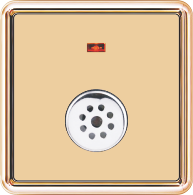 T19-017 声光控延时开关