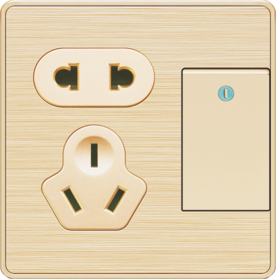 T2-010 一开带二三极插座