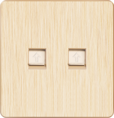 T1-014 二位电话插座