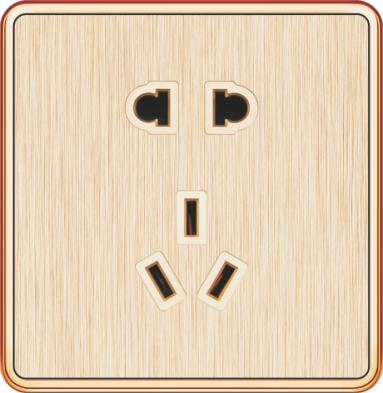 T5-006 二、三极插座